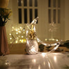LED Christmas Light | String Christmas Decoration Light