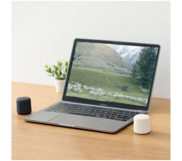 Mini Portable Wireless Speaker