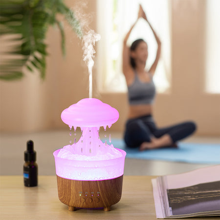 Multifunctional Mini Electric Cooker