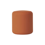 Mini Portable Wireless Speaker